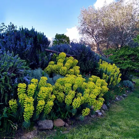 Borgo Castello Panicaglia 诺西拉·乌姆布拉