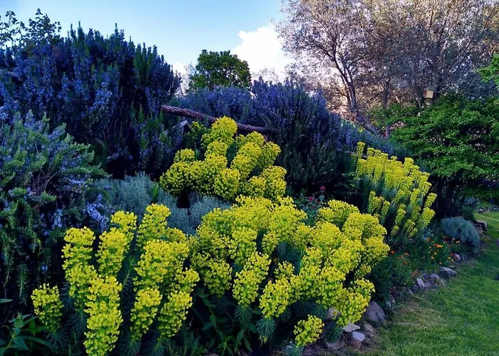 Borgo Castello Panicaglia Nocera Umbra